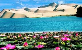 Phan Thiết - Mũi Né - Hòn Rơm - Bàu Sen